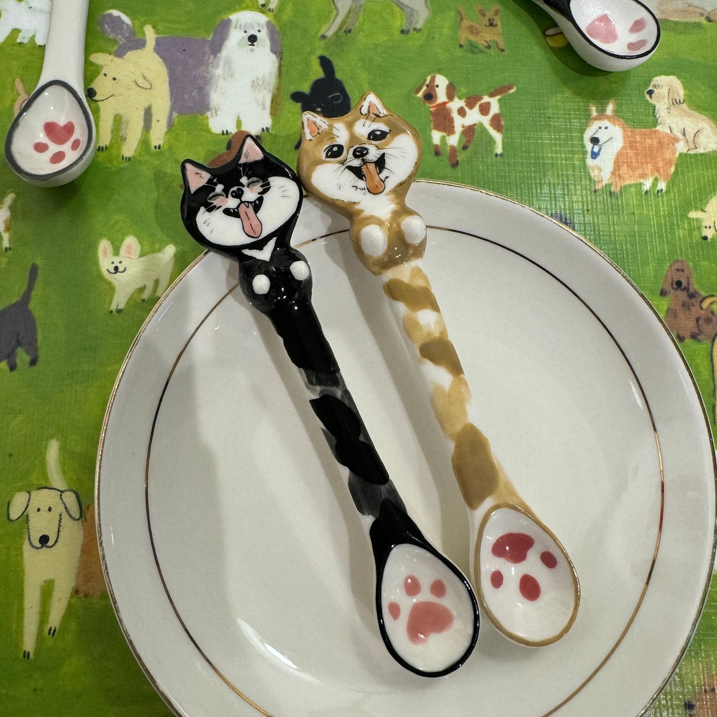 Custom Pet Ceramic Spoon — view 7